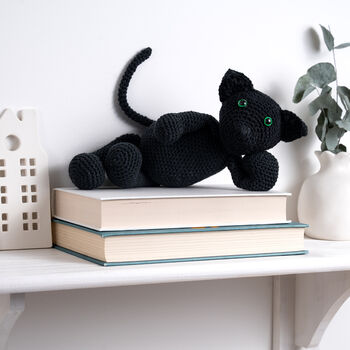 Merlin Cat Easy Crochet Kit, 3 of 10