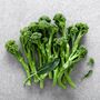 Vegetable Broccoli 'Tenderstem' 12 X Plant Pack, thumbnail 1 of 5