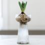 Ribbed Glass Hyacinth Vase, thumbnail 1 of 4