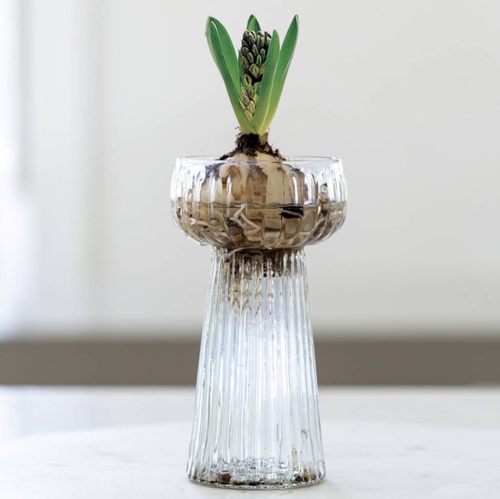 Ribbed Glass Hyacinth Vase, 1 of 4