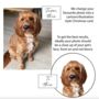 Personalised Pet Christmas Card, thumbnail 3 of 11