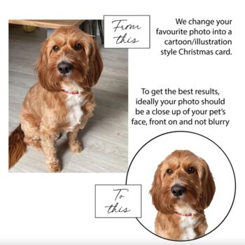 Personalised Pet Christmas Card, 3 of 11