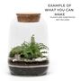 Lantern Stype Terrarium Jar | H: 21 Cm, thumbnail 4 of 4