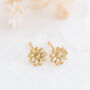 Olwen Daisy Stud Earrings, thumbnail 1 of 8