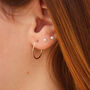Teardrop Hoop Earrings In Rose Gold Fill, thumbnail 9 of 10
