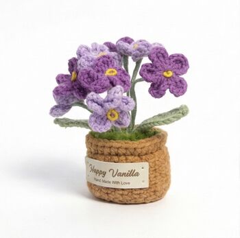 Forget Me Not Flower Pot Colours At Random, 5 of 6