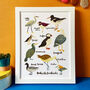 'British Seabirds' Illustrated Print, thumbnail 1 of 7