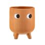 Terracotta Cute Face Planter With Choice Of Plant, thumbnail 2 of 2