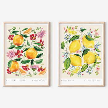 Citrus Limon Art Print, 5 of 5