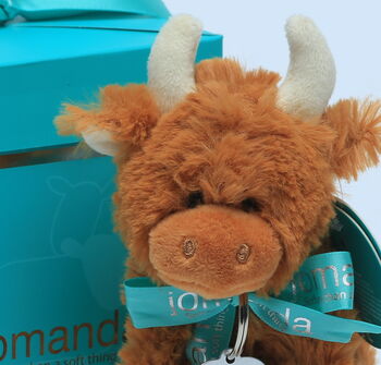 Christmas Highland Mini Brown Cow Soft Toy, Gift Boxed, 5 of 9