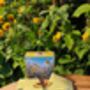 Bumble Bee And Sunflower Socks – Fun Gift Boxed One Size, thumbnail 5 of 9