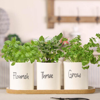 Grow Your Own Herb Garden Planter Pot Set, 7 of 9