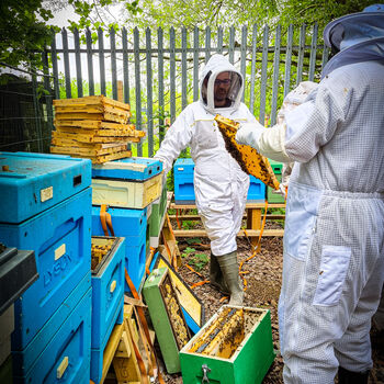 Yorkshire Beekeeping Experience, 6 of 8