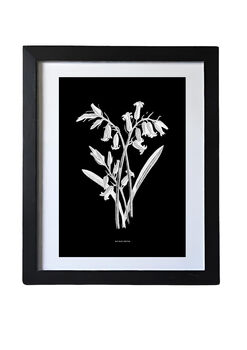 Nine Framed Botanical Wall Art Prints, 9 of 12