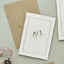 Botanist Archive Snowdrop Christmas Card, thumbnail 2 of 4