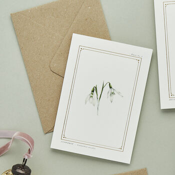 Botanist Archive Snowdrop Christmas Card, 2 of 4