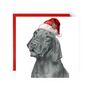 Chara The Vizsla Red Hat Festive Christmas Card, thumbnail 1 of 4