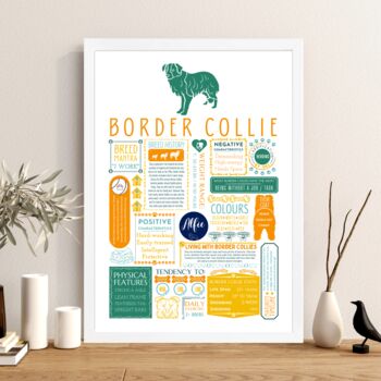 Personalised Border Collie Dog Trait Fact Print, 3 of 7