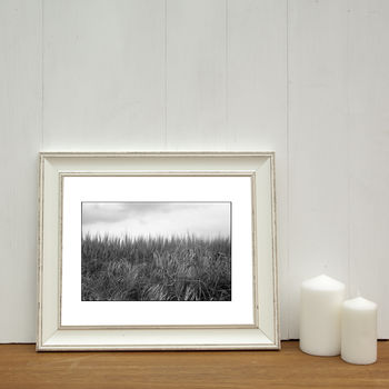Wild Grasses I, Occold Photographic Art Print, 2 of 4