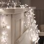 Coco Bead Cluster Mains Or Battery Fairy Lights, thumbnail 1 of 8