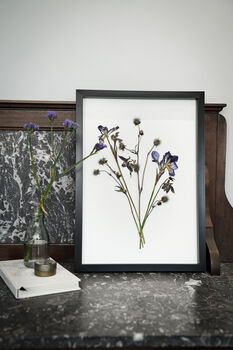 Wild Fade Original Pressed Flower Art In A3 Black Frame, 6 of 8