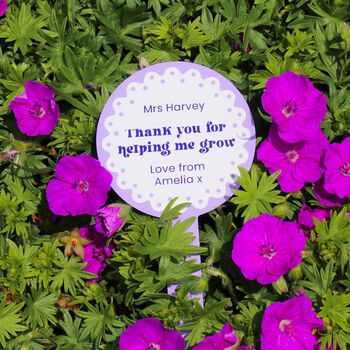 Thank You For Helping Me Grow Teacher Plant Marker, 6 of 6