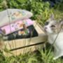 Spring Cat In Wildflowers Embroidered Sweatshirt, thumbnail 5 of 5