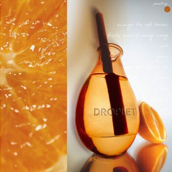 Orange Blossom Reed Diffuser 150ml, 5 of 6