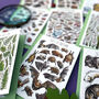 Wildlife Of Britain Greeting Cards Pack Volume Four, thumbnail 5 of 12