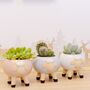 Glazed Sheep Planter With Choice Of Plant, thumbnail 4 of 6