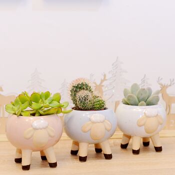 Glazed Sheep Planter With Choice Of Plant, 4 of 6