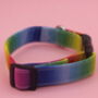 Rainbow Ombre Dog Collar, thumbnail 7 of 9