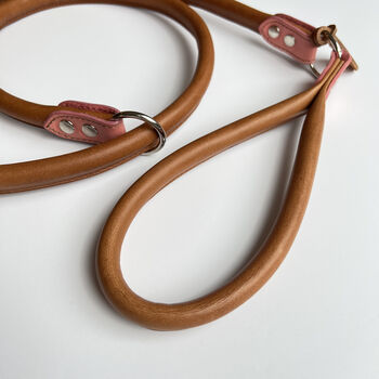 Pink Rolled Leather Slip Lead, 4 of 4
