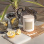 Citronella And Lemongrass Outdoor Garden Candle Soy Wax, thumbnail 2 of 3