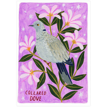 Collared Dove Bird Art Poster, 2 of 4