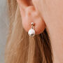 Small Scallop Shell Earrings Friends Of The Sea, thumbnail 1 of 2