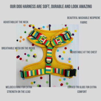 Multi Coloured Stripe Dog Harness, 3 of 4