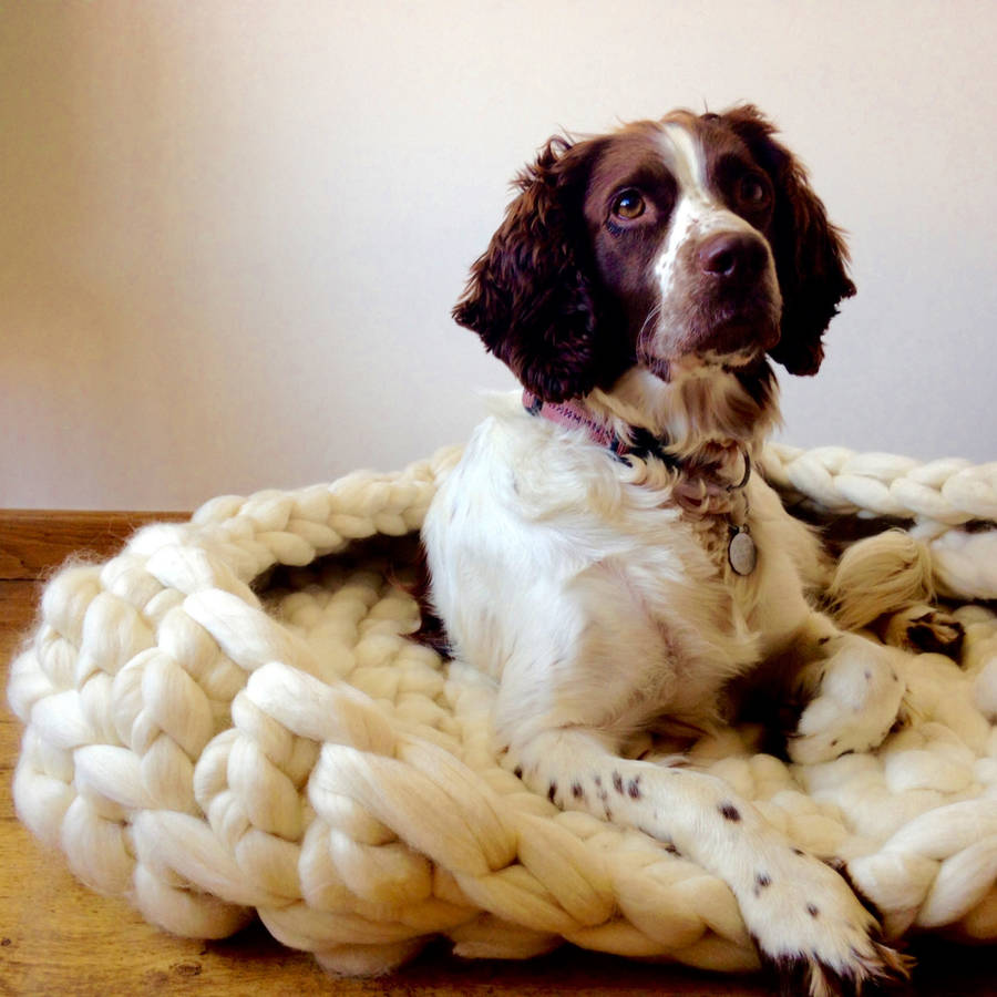 Diy Luxury Crochet Kit Dog Bed By Wool Couture