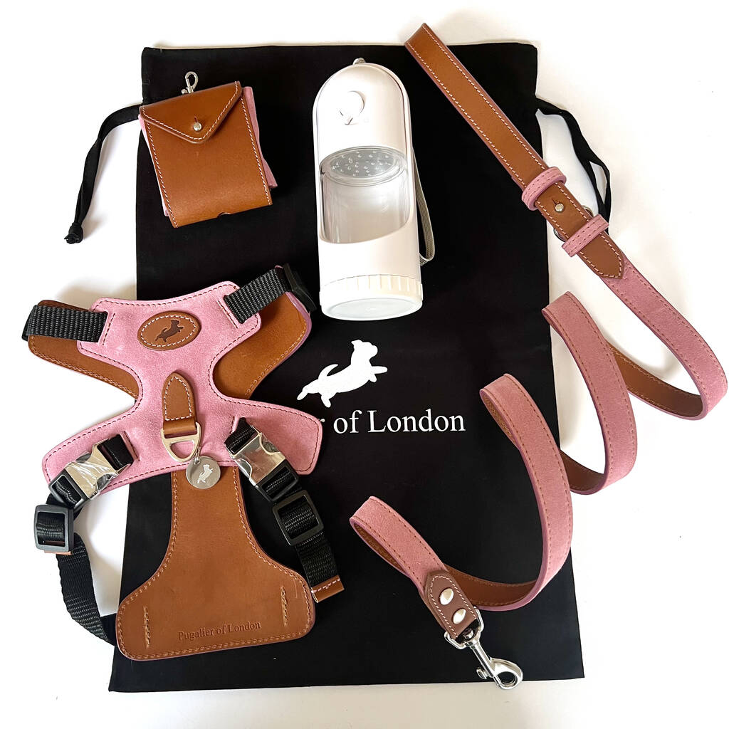 pooch pack subscription