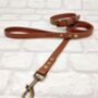 Waterproof Dog Collar And Lead Set Brown, thumbnail 1 of 3