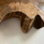 50cm Handcrafted Teak Root Tree Slice Mirror, thumbnail 7 of 9