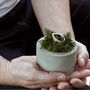 Concrete Cylinder Tea Light Candle Or Air Plant Holder, thumbnail 9 of 12