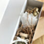 Luxury Winter Dried Flower Diffuser, thumbnail 2 of 4