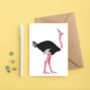 Ostrich In A Party Hat Greeting Card, thumbnail 1 of 2