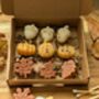 Autumnal Wax Melt Selection Box For Autumn Decor, thumbnail 5 of 10