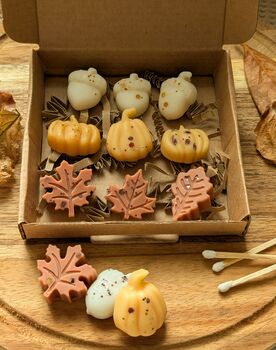 Autumnal Wax Melt Selection Box For Autumn Decor, 5 of 10