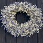 Gypsophila And Lavender Hanging Wreath, thumbnail 1 of 1