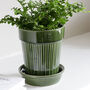 Green Plant Pot With Saucer, thumbnail 2 of 3