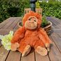 Super Soft Orangutan Cuddly Toy, thumbnail 1 of 10