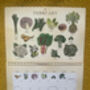 2026 Calendar UK Seasonal Fruit And Vegetable Calendar, thumbnail 8 of 12